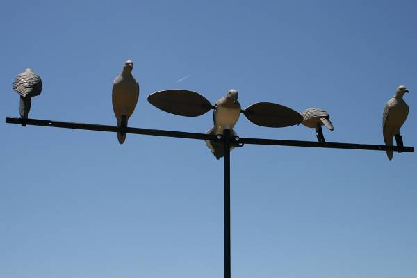 Clip On Mojo Outdoor Doves For Better Dove Hunt